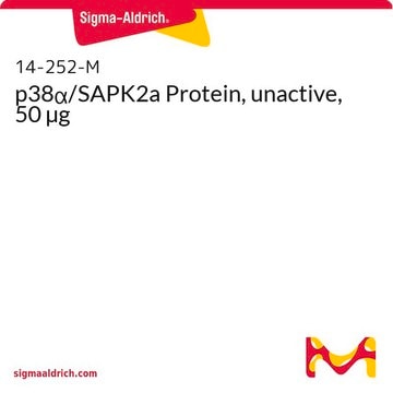 p38&#945;/SAPK2a Protein, unactive, 50 &#181;g