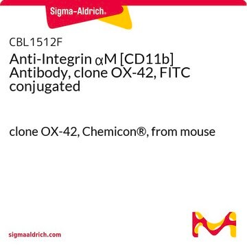 Anti-Integrin &#945;M [CD11b] Antibody, clone OX-42, FITC conjugated clone OX-42, Chemicon&#174;, from mouse