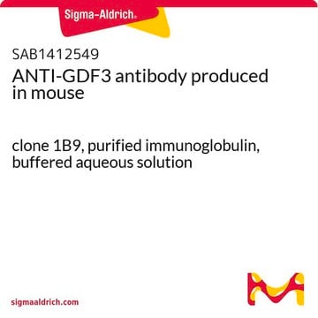 ANTI-GDF3 antibody produced in mouse clone 1B9, purified immunoglobulin, buffered aqueous solution