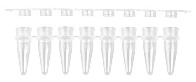 PCR strip tubes with flat strip caps with writing surface, thin wall, 8 per strip, size 0.2&#160;mL, clear, pkg of 10x125strips/cs