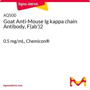 Goat Anti-Mouse Ig kappa chain Antibody, F(ab&#8242;)2 0.5&#160;mg/mL, Chemicon&#174;