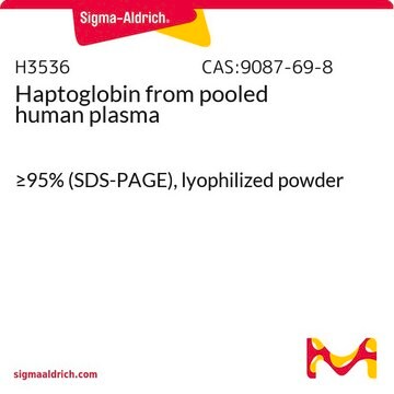 Haptoglobine from pooled human plasma &#8805;95% (SDS-PAGE), lyophilized powder