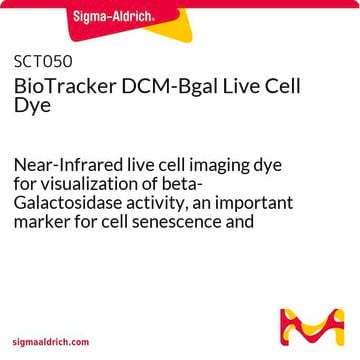 Barwnik do żywych komórek BioTracker DCM-Bgal Near-Infrared live cell imaging dye for visualization of beta-Galactosidase activity, an important marker for cell senescence and primary ovarian cancers.