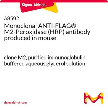 单克隆抗-FLAG&#174; M2-过氧化物酶（HRP） 小鼠抗 clone M2, purified immunoglobulin, buffered aqueous glycerol solution