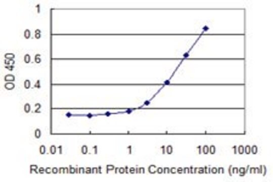 Monoclonal Anti-ZNHIT2 antibody produced in mouse clone 4G11, purified immunoglobulin, buffered aqueous solution