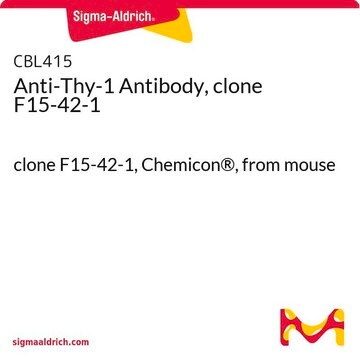 Anti-Thy-1 Antibody, clone F15-42-1 clone F15-42-1, Chemicon&#174;, from mouse