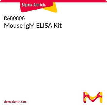 小鼠 IgM ELISA 试剂盒