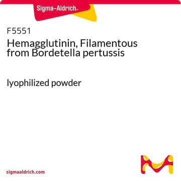 Hemagglutinin, Filamentous from Bordetella pertussis lyophilized powder