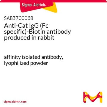 Anti-Cat IgG (Fc specific)-Biotin antibody produced in rabbit affinity isolated antibody, lyophilized powder