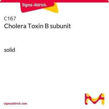 Cholera Toxin B subunit solid