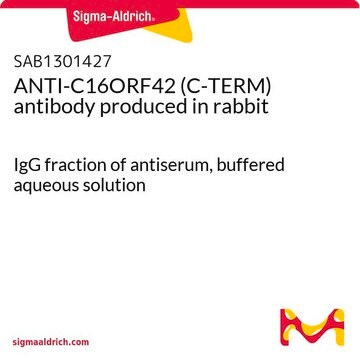 ANTI-C16ORF42 (C-TERM) antibody produced in rabbit IgG fraction of antiserum, buffered aqueous solution