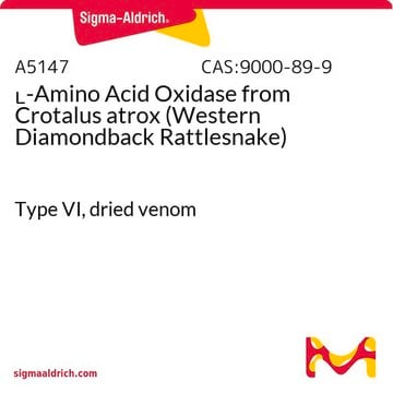 L-Amino Acid Oxidase from Crotalus atrox (Western Diamondback Rattlesnake) Type VI, dried venom