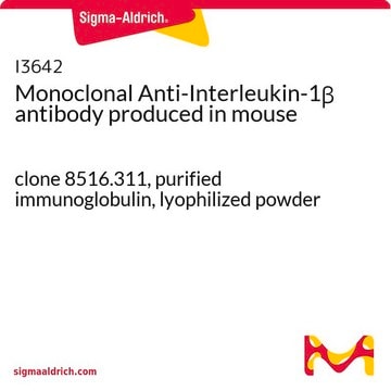 モノクロナール抗インターロイキン-1&#946; マウス宿主抗体 clone 8516.311, purified immunoglobulin, lyophilized powder