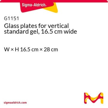 Glasplatten für vertikales Standardgel, Breite 16,5&nbsp;cm W × H 16.5&#160;cm × 28&#160;cm