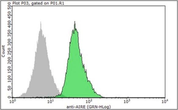 Anti-AIRE Antibody, clone 5H12 clone 5H12, from rat