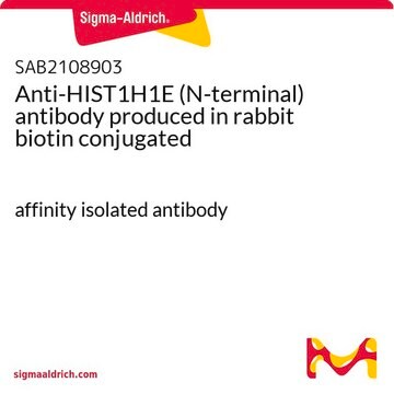 Anti-HIST1H1E (N-terminal) antibody produced in rabbit biotin conjugated affinity isolated antibody