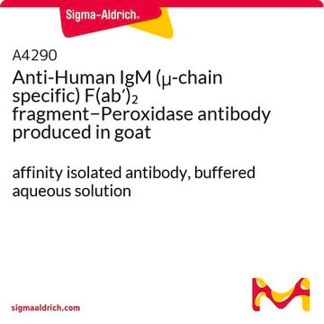 抗-人IgM（&#956;-链特异性）（F(ab&#8242;)2片段&#8722;过氧化物酶 山羊抗 affinity isolated antibody, buffered aqueous solution