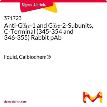 Anti-Gi&#945;-1 and Gi&#945;-2-Subunits, C-Terminal (345-354 and 346-355) Rabbit pAb liquid, Calbiochem&#174;