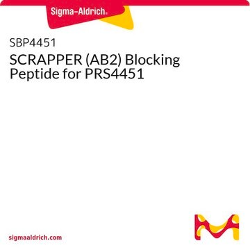 SCRAPPER (AB2) Blocking Peptide for PRS4451