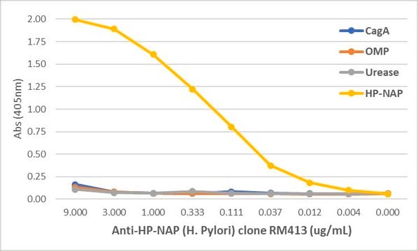 Anti-HP-NAP (Helicobacter Pylori) Rabbit Monoclonal Antibody clone RM413, affinity purified immunoglobulin