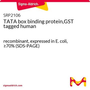 TATA box binding protein,GST tagged human recombinant, expressed in E. coli, &#8805;70% (SDS-PAGE)