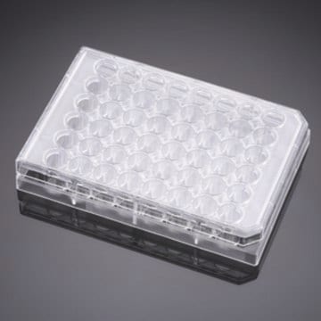 Corning&#174; Falcon&#174; Multiwell Cell Culture Plate size 48&#160;well, sterile