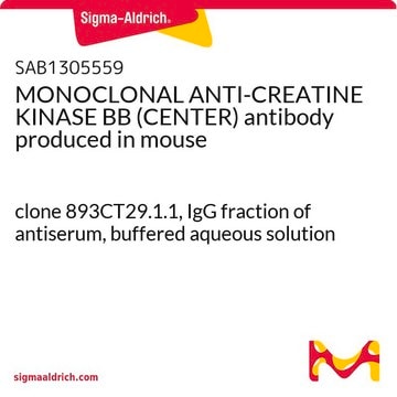 MONOCLONAL ANTI-CREATINE KINASE BB (CENTER) antibody produced in mouse clone 893CT29.1.1, IgG fraction of antiserum, buffered aqueous solution