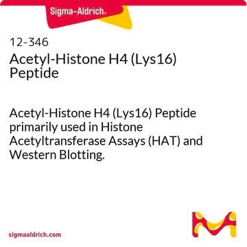 Acetyl-Histone H4 (Lys16) Peptide Acetyl-Histone H4 (Lys16) Peptide primarily used in Histone Acetyltransferase Assays (HAT) and Western Blotting.