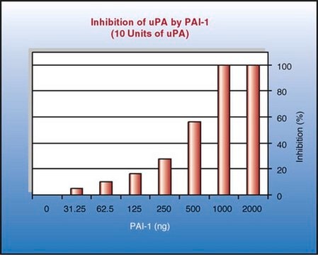 PAI-Aktivitäts-Assaykit The PAI Activity Assay Kit provides a quick, efficient &amp; sensitive system for evaluation of inhibition of uPA activity by PAI &amp; for screening of uPA inhibitors.