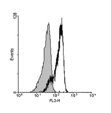 Il 23 antibody | Sigma-Aldrich