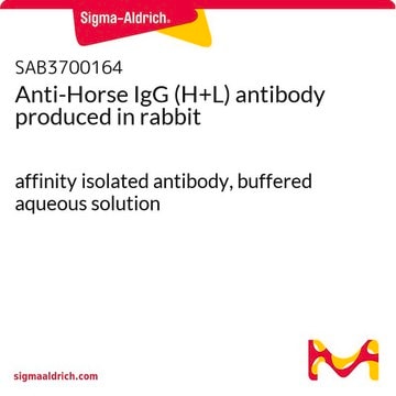 Anti-Horse IgG (H+L) antibody produced in rabbit affinity isolated antibody, buffered aqueous solution