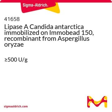 Lipase A de Candida antarctica, immobilisée sur Immobead 150, recombinante from Aspergillus oryzae &#8805;500&#160;U/g