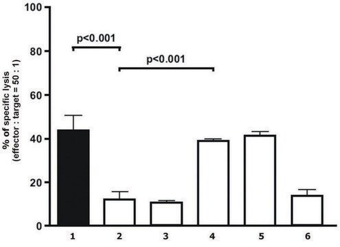 Monoclonal Anti-HLAG antibody produced in mouse clone 87G