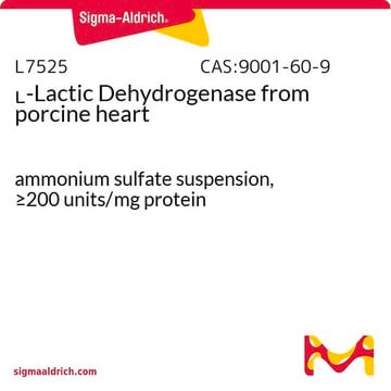 L-Lactic Dehydrogenase from porcine heart ammonium sulfate suspension, &#8805;200&#160;units/mg protein