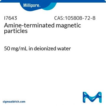 Amine-terminated magnetic particles 50&#160;mg/mL in deionized water