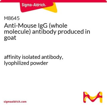 Anticorps anti-IgG de souris (molécule complète) antibody produced in goat affinity isolated antibody, lyophilized powder