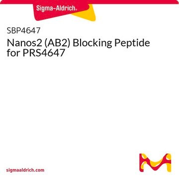 Nanos2 (AB2) Blocking Peptide for PRS4647