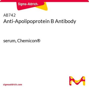 Anti-Apolipoprotein B Antibody serum, Chemicon&#174;