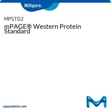 Patrón de proteínas Western mPAGE&#174;