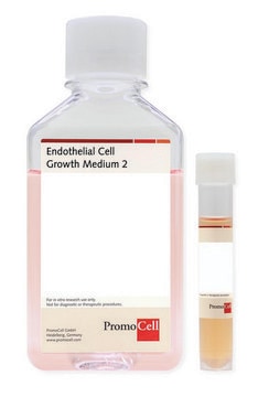 Endothelzellwachstumsmedium 2 Ready-to-use kit including Basal Medium and SupplementMix, 500 ml