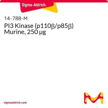 PI3 Kinase (p110&#946;/p85&#946;) Murine, 250 µg