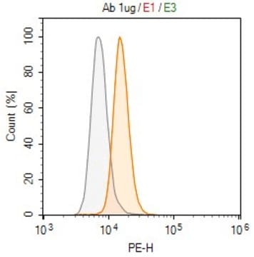 Anti-KLRG1 Antibody, clone 1H10 ZooMAb&#174; Rabbit Monoclonal recombinant, expressed in HEK 293 cells