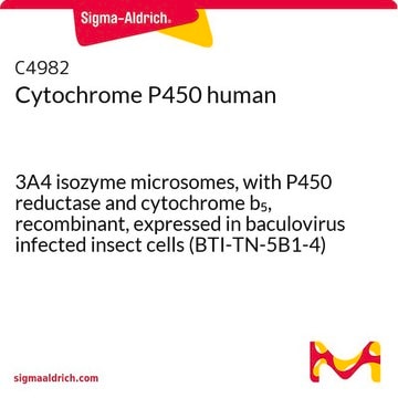 Cytochrome P450 human 3A4 isozyme microsomes, with P450 reductase and cytochrome b5, recombinant, expressed in baculovirus infected insect cells (BTI-TN-5B1-4)