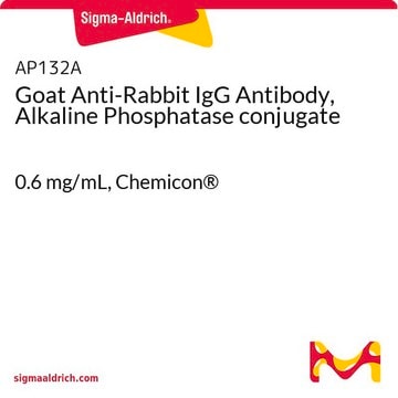 Goat Anti-Rabbit IgG Antibody, Alkaline Phosphatase conjugate 0.6&#160;mg/mL, Chemicon&#174;