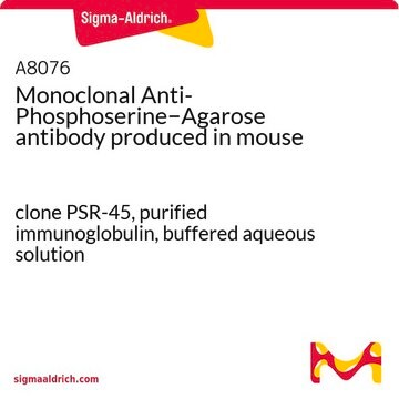 Monoclonal Anti-Phosphoserine&#8722;Agarose antibody produced in mouse clone PSR-45, purified from hybridoma cell culture, buffered aqueous solution