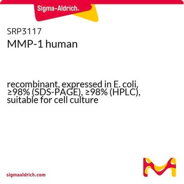 MMP-1 人 recombinant, expressed in E. coli, &#8805;98% (SDS-PAGE), &#8805;98% (HPLC), suitable for cell culture