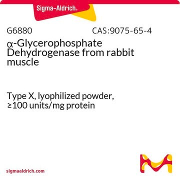 &#945;-Glycérophosphate déshydrogénase from rabbit muscle Type X, lyophilized powder, &#8805;100&#160;units/mg protein