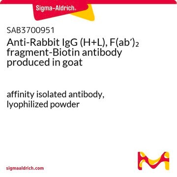 Anti-Rabbit IgG (H+L), F(ab&#8242;)2 fragment-Biotin antibody produced in goat affinity isolated antibody, lyophilized powder