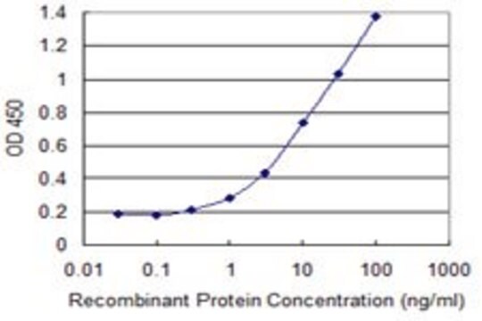 Monoclonal Anti-U2AF1L2 antibody produced in mouse clone 2H5, purified immunoglobulin, buffered aqueous solution