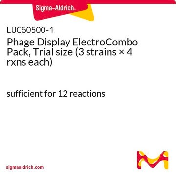 Phage Display ElectroCombo Pack, Trial size&nbsp;(3 strains × 4 rxns each) sufficient for 12&#160;reactions